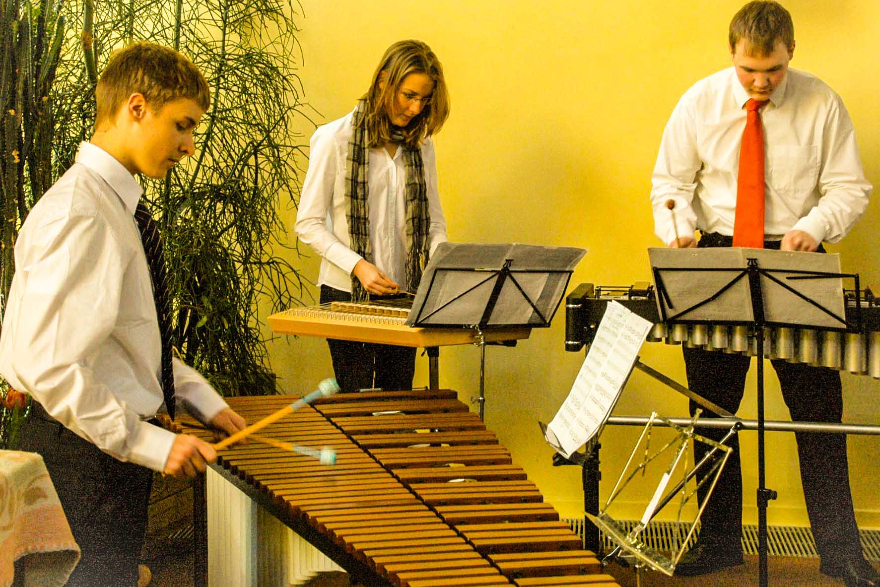 Marimba Clara