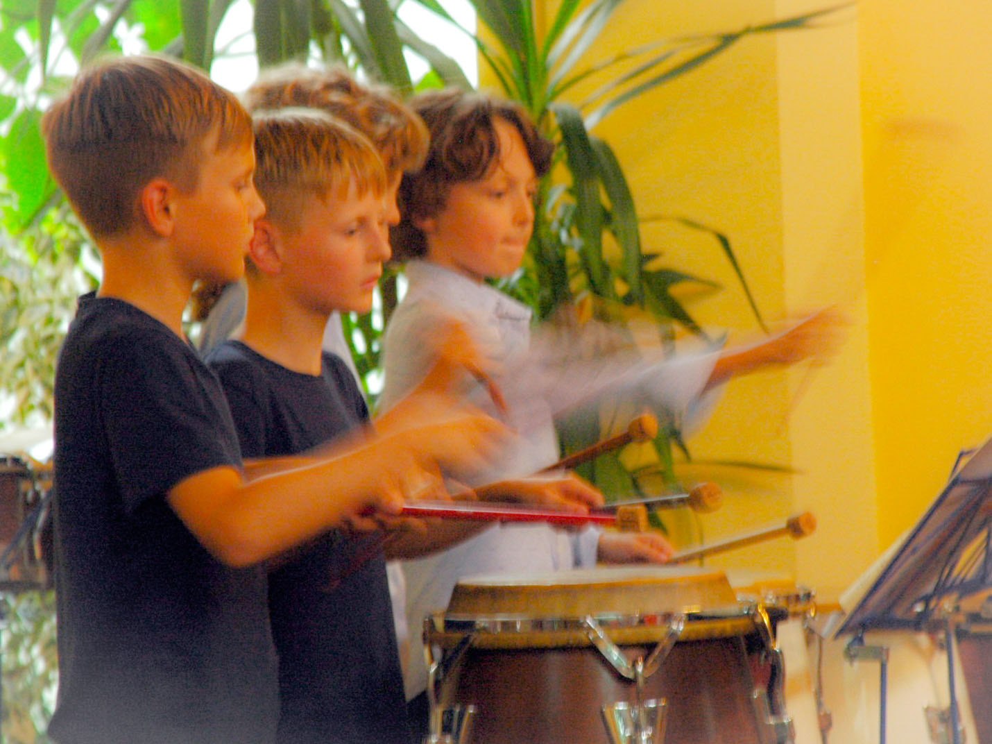 Amandi Musikschule